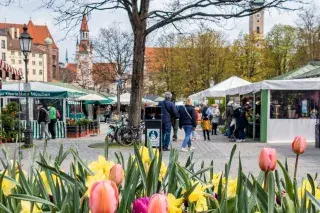 Viktualienmarkt im Frühling